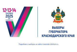 выборы