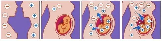 Донорство иммунноспецифической плазмы 2